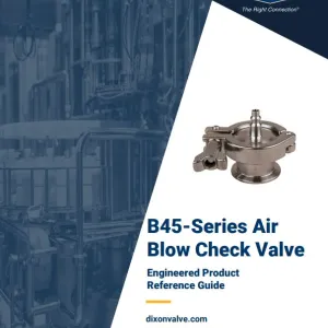 B45-Series Air Blow Check Valve