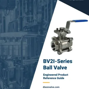 BV2I-Series Ball Valve