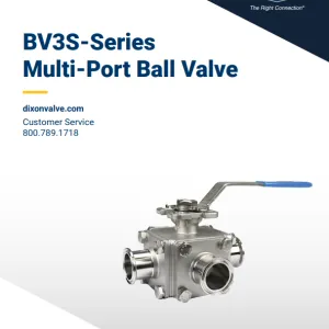 BV3S Instruction Manual