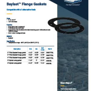 Baylast Flange Gasket