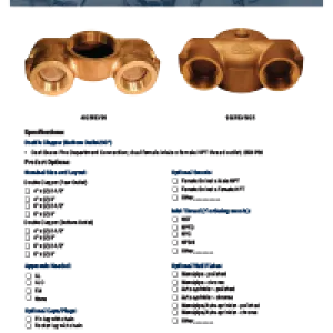 Reversible Concealed Fire Department Connections