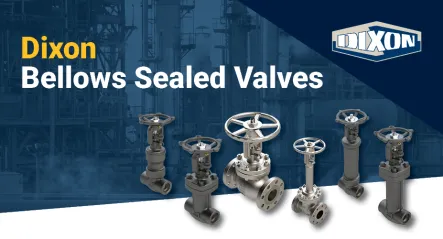 Belllows Sealed Valves