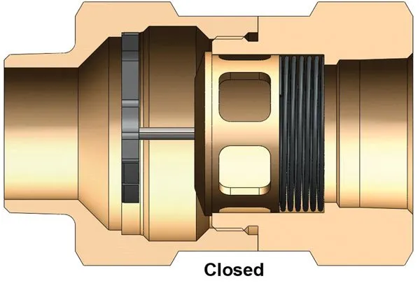 Safety Check Valves