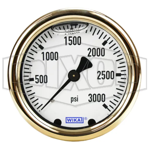 Brass Liquid Filled Center Back Mount Gauge