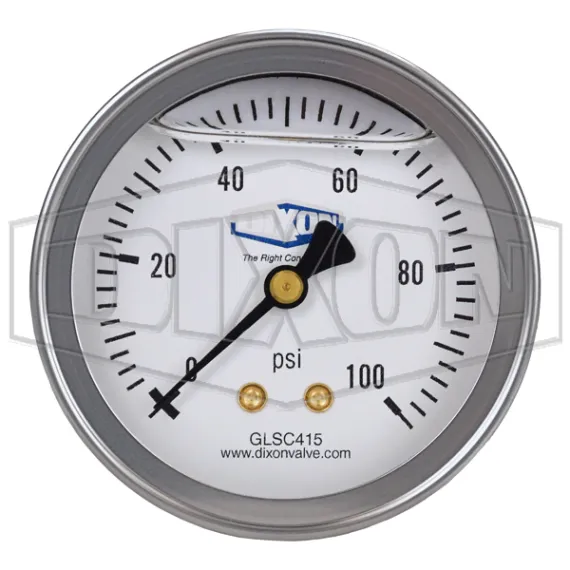 Liquid Filled Center Back Mount Stainless Case Gauge