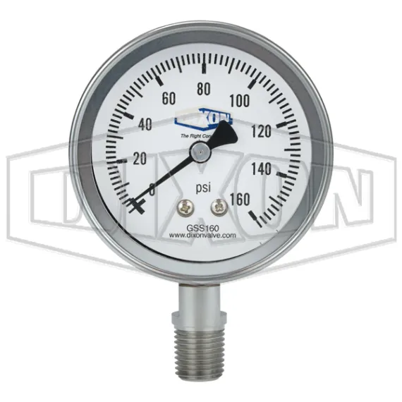 Stainless Steel Dry Lower Mount Gauge