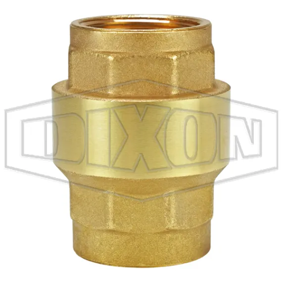 Spring-Loaded Check Valve