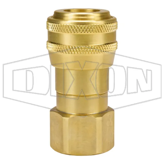 df-series-pneumatic-automatic-female-threaded-coupler_6df8-b_color_lg_watermarked
