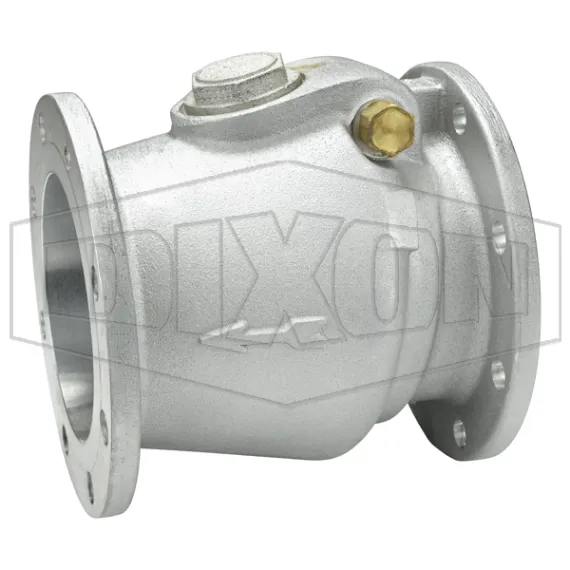 Bayco® Classic 3000-Series Swing Check Valve Round TTMA Flange