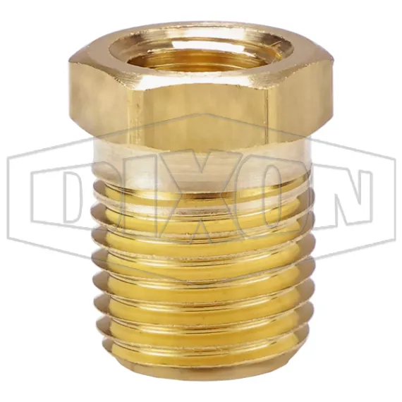 Reducer Hex Bushing