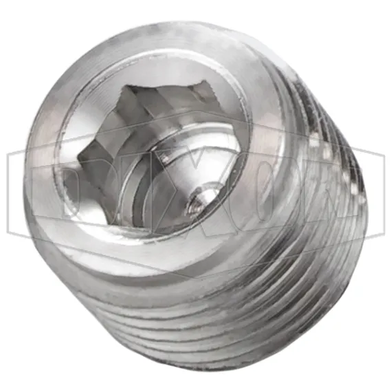 Hex Socket Plug