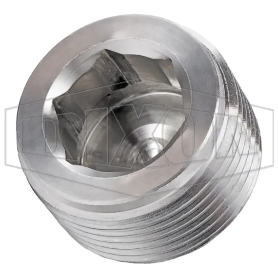 Hex Socket Plug