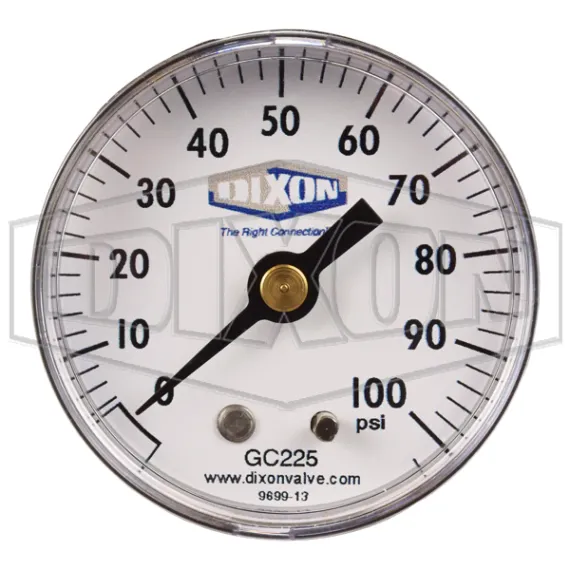 abs-standard-dry-center-back-mount-gauge_gc225_color_lg_watermarked.jpg