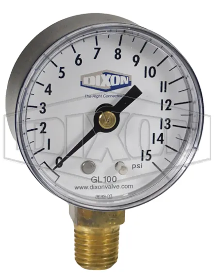 ABS Standard Dry Lower Mount Gauge