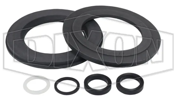 BV2I-Series Ball Valve Repair Kit 