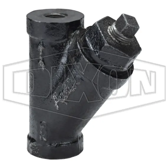Cast Iron Y Line Strainer