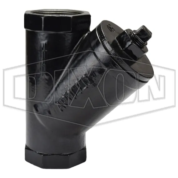 Cast Iron Y Line Strainer