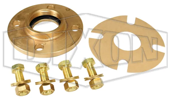 Brass International Shore Connection