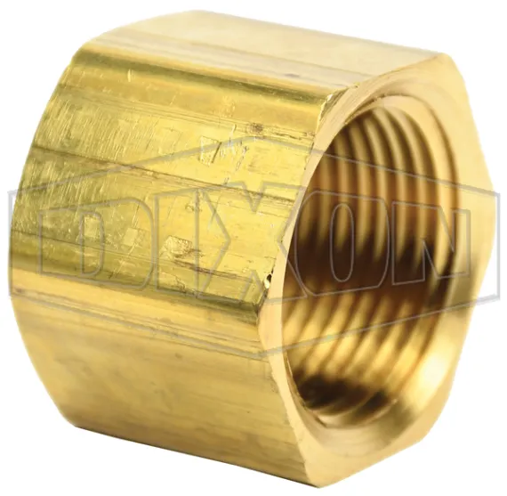 pipe-cap_2131600clf_color_lg_watermarked