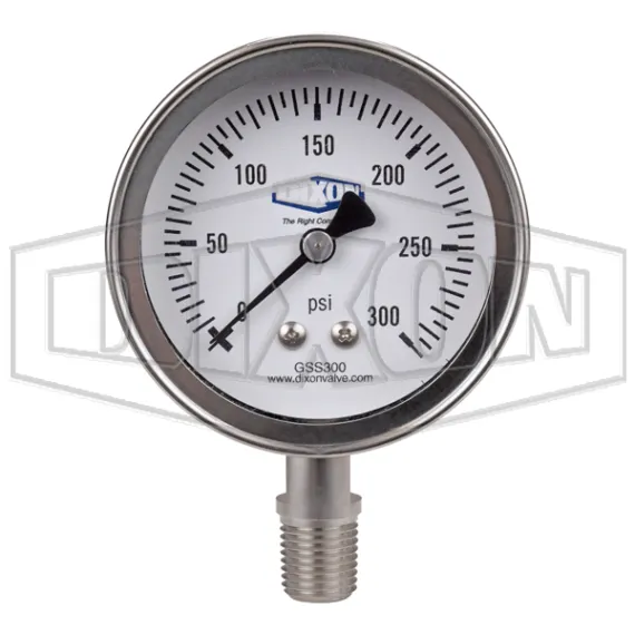 stainless-steel-dry-lower-mount-gauge_gss300_color_lg_watermarked.jpg