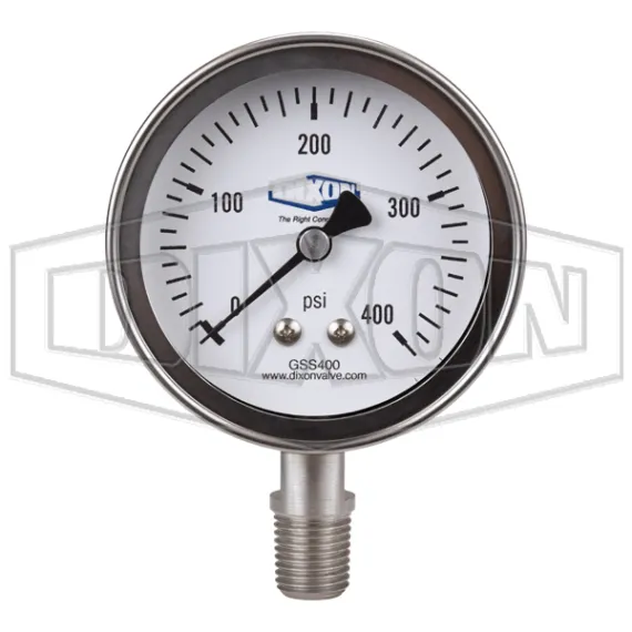 stainless-steel-dry-lower-mount-gauge_gss400_color_lg_watermarked.jpg