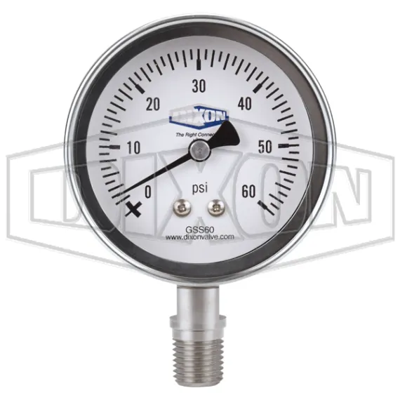 stainless-steel-dry-lower-mount-gauge_gss60_color_lg_watermarked.jpg