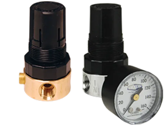 Watts Miniature Regulator