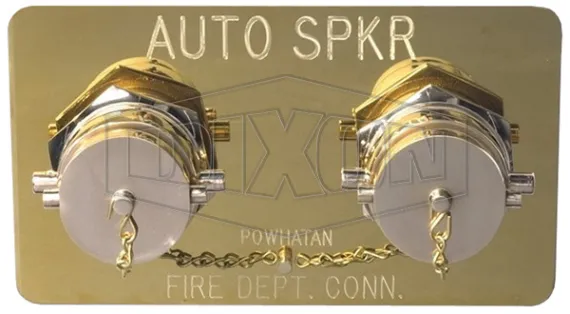 Double Clapper Concealed Type Siamese Assembly