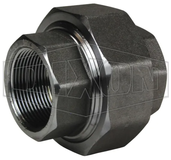NPT Threaded Union