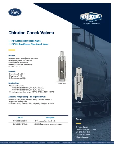 Chlorine Check Valves