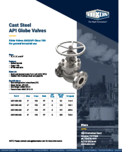 Cast Steel API Globe Valves