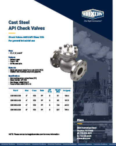 Cast Steel API Check Valves