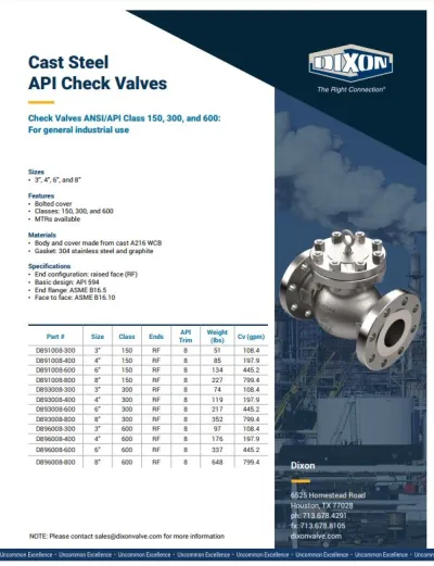 Cast Steel API Check Valves