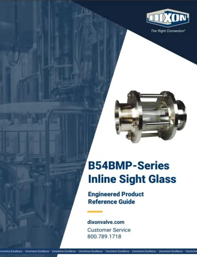 B54BMP-Series Inline Sight Glass