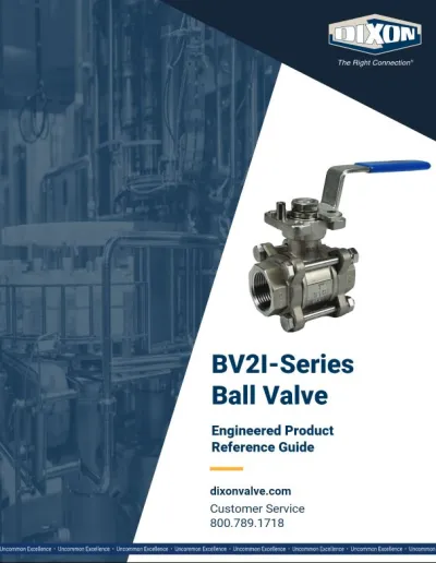 BV2I-Series Ball Valve