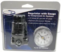 regulator with gauge for compressed air systems
