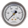 Liquid Filled Center Back Mount Stainless Case Gauge