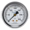 Liquid Filled Center Back Mount Stainless Case Gauge