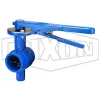 Grooved End Iron Butterfly Valve