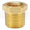 Reducer Hex Bushing