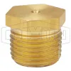 Hex Head Plug