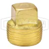 Square Head Plug