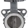 Butterfly valve with integrated notch plate