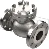 dixon-eagle-check-valve