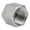 Female NPTF Hex Cap