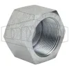 Female NPTF Hex Cap