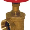 Global Forged Brass Angle Hose Valve