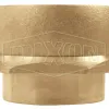 brass female swivel adapter with rocker lugs