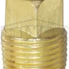 NPT Threaded Square Head Plug
