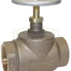 globe valve